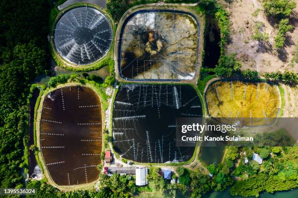 aerial view of a water purification station viewed from above - groundwater stockfoto's en -beelden