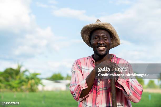 portrait of smiling african man farmer at a field. - african ethnicity farmer stock pictures, royalty-free photos & images