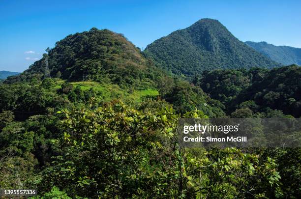 cañón del río blanco [rio blanco canyon], paseo de los 500 escalones [500 steps walk], orizaba, veracruz, mexico - escalones stock pictures, royalty-free photos & images