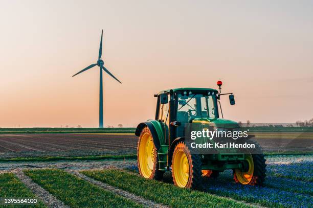 a tractor in a tulip field at sunrise - trattore foto e immagini stock