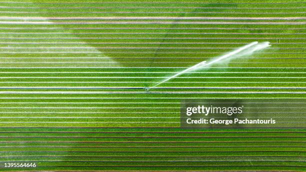 top down aerial photo of agricultural sprinkler over cultivated land - netherlands aerial stock pictures, royalty-free photos & images