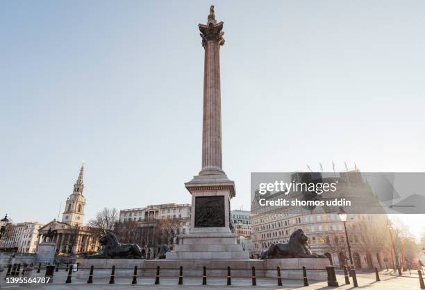 london trafalgar square in early morning light - ネルソンの記念碑 ストックフォトと画像