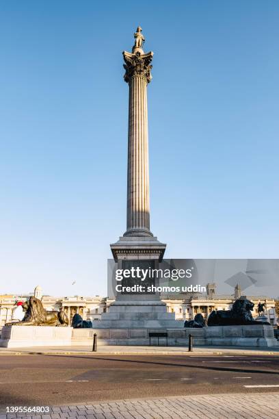 london trafalgar square in early morning light - lion city photos et images de collection