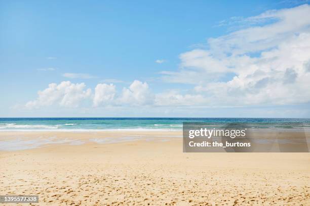 beach, sea and sky at a sunny day - seaside foto e immagini stock