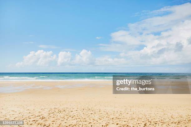 beach, sea and sky at a sunny day - shore bildbanksfoton och bilder