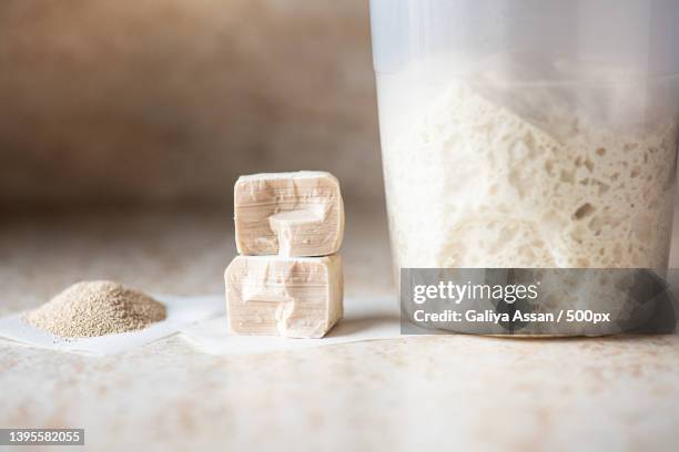 instant and fresh yeast and sourdough in a jar - levedura imagens e fotografias de stock