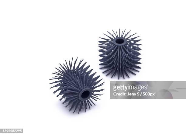 close-up of pine cones against white background - car wash brush fotografías e imágenes de stock