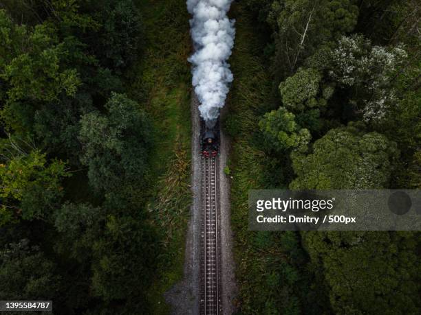 aerial view of railroad tracks amidst trees,russia - train à vapeur photos et images de collection