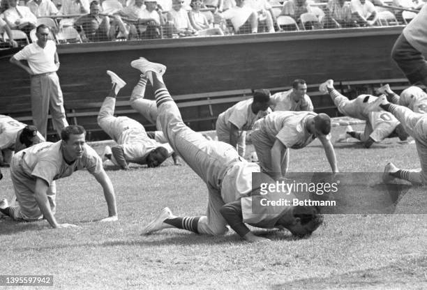 Cardinals infielder Stan Musial is pushing his face to the ground and his leg up in the air during a calisthenics session. "Stan, the Man" is...
