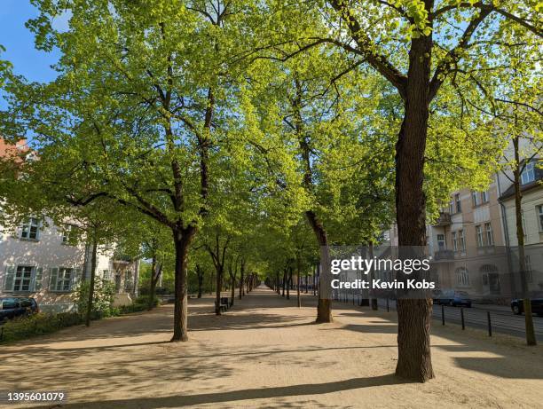 view of a walkway at lindenstraße in frankfurt (oder), brandenburg, germany. - pedestrian zone stock pictures, royalty-free photos & images