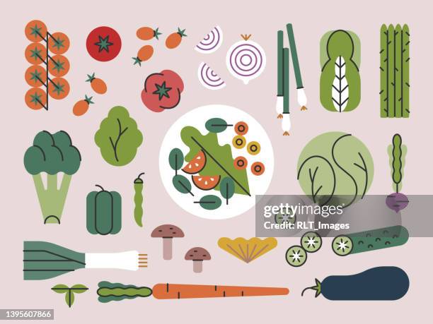 ilustraciones, imágenes clip art, dibujos animados e iconos de stock de verduras frescas y plato de ensalada — brightline series - tomato stock illustrations