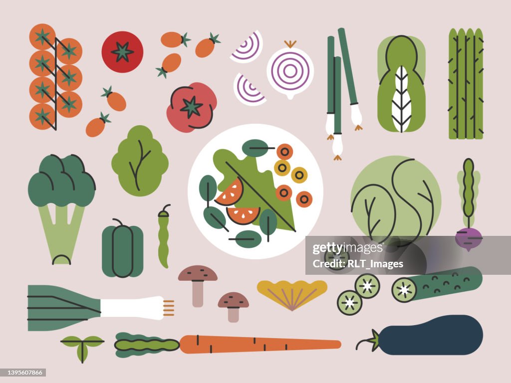 Fresh Vegetables & Plate of Salad — Brightline Series
