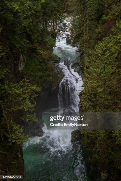 lynn canyon park - cascade stock pictures, royalty-free photos & images