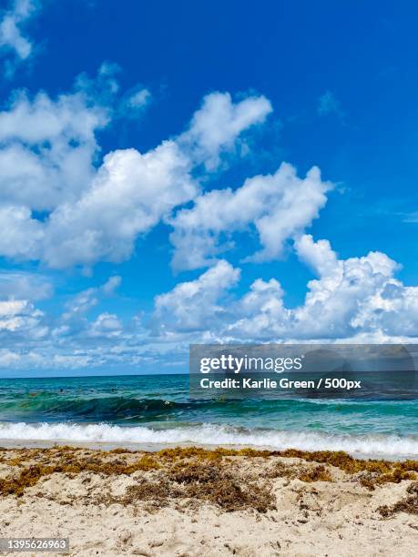 scenic view of people blurred in background swimming in beach against blue sky,delray beach,florida,united states,usa - delray beach 個照片及圖片檔