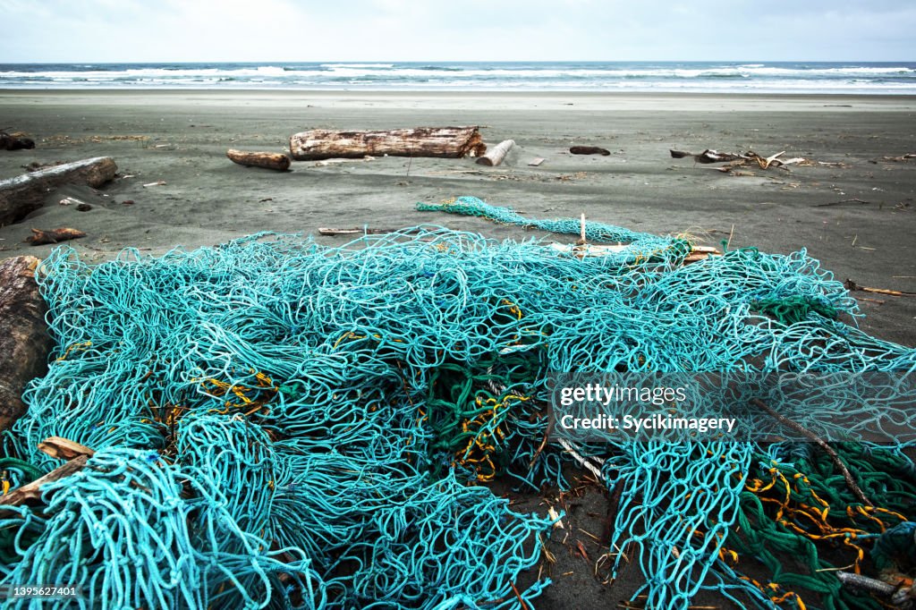 Netting on beach