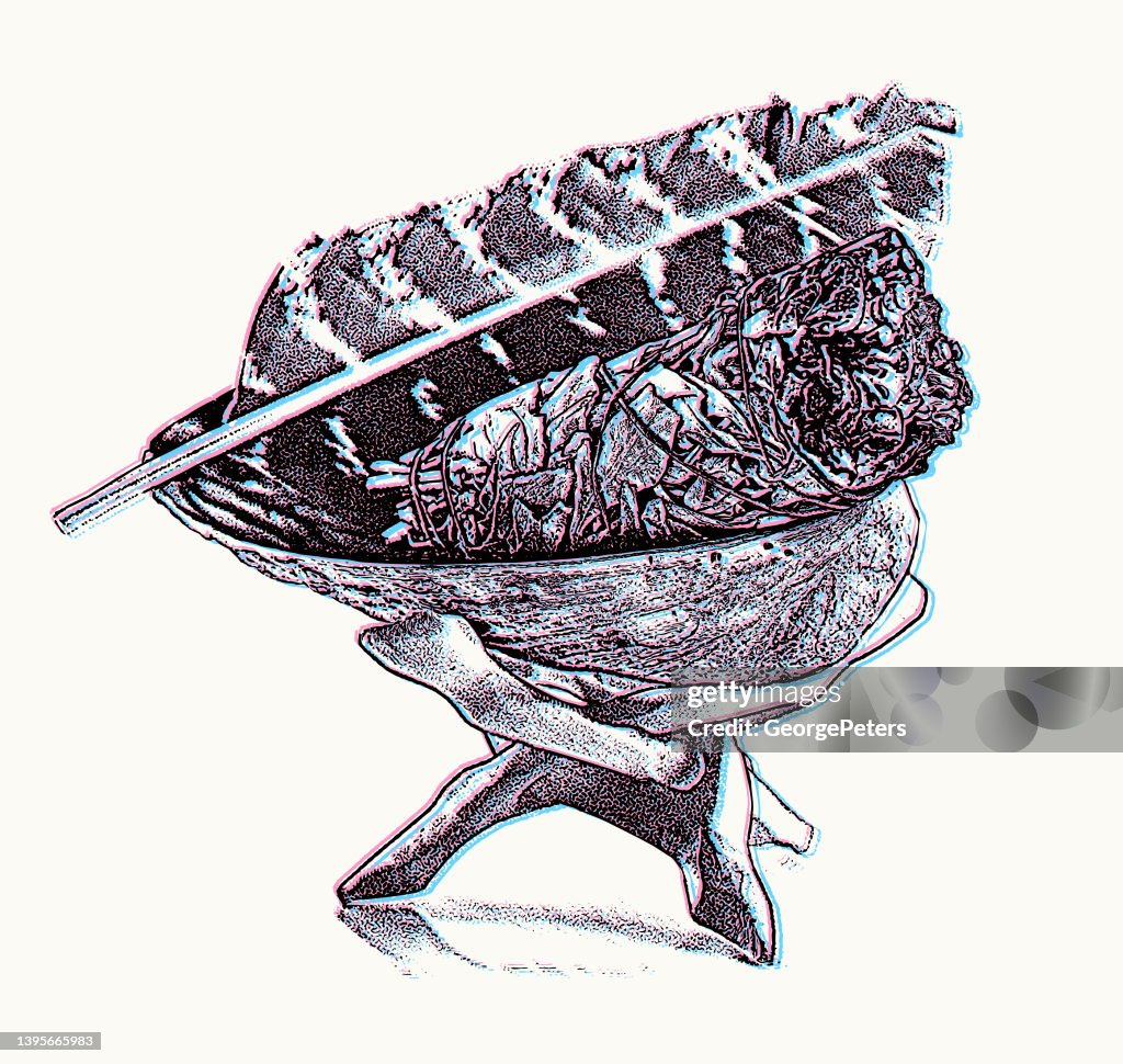 Ilustración estereoscópica de un palo de manchas de salvia