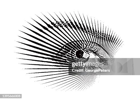 Security Eye Scan Security Eye Scan