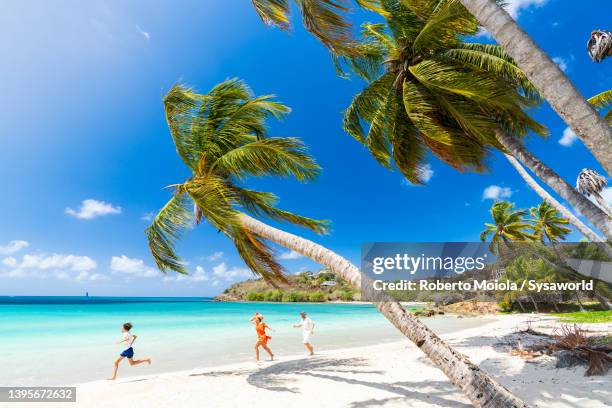 happy family with one child running on palm fringed beach - antigua and barbuda foto e immagini stock