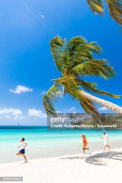 happy little boy with family running on idyllic beach - 西インド諸島 リーワード諸島 ストックフォトと画像