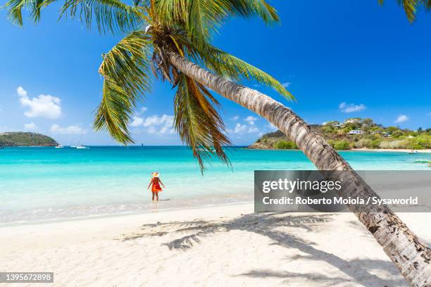 woman standing in the crystal water of caribbean sea - antigua stock-fotos und bilder