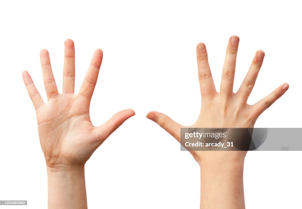 Open Raised Hands Front And Back View Isolated Over White High-Res ...