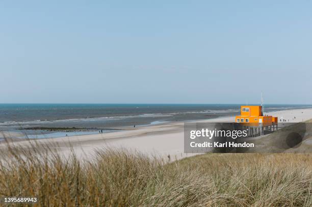 a daytime view of a beach in the netherlands - noord holland stock pictures, royalty-free photos & images