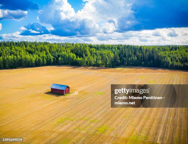 aerial view of an agricultural field with a solitary barn next to a forest in southern finland - aerial barn stock pictures, royalty-free photos & images