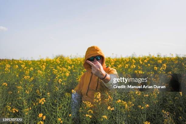 adult male dressed in yellow hooded sweatshirt and sunglasses, showing middle finger making rude gesture of bad expression, provocation and rude attitude in a yellow flower field - welcome yellow stock pictures, royalty-free photos & images