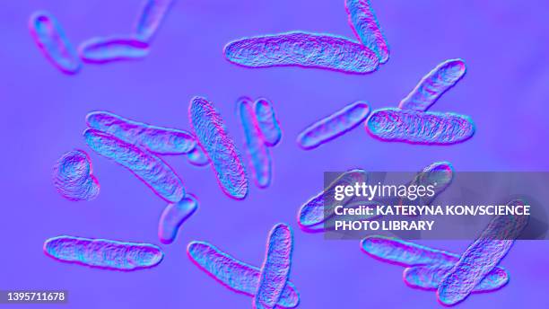 sphingomonas bacteria, illustration - hospital acquired infection stock illustrations