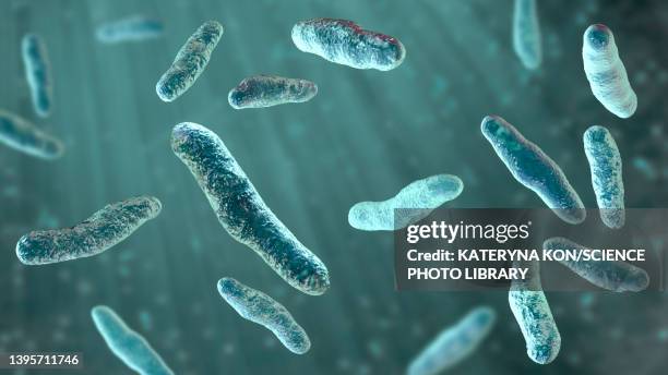 bilophila wadsworthia bacteria, illustration - appendicitis stock illustrations