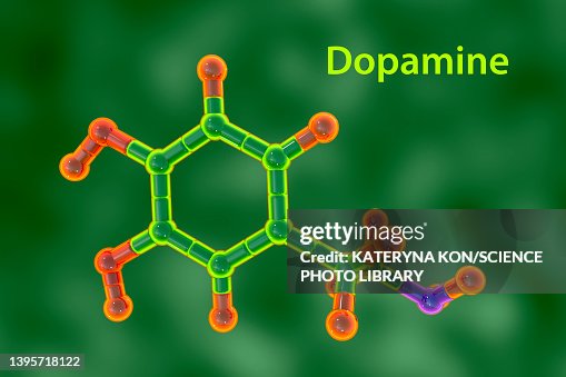 Dopamine molecule, illustration Dopamine molecule, illustration
