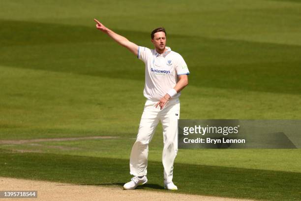 Ollie Robinson of Sussex celebrates bowling out Peter Hanscombe of Middlesex during day two of the LV= Insurance County Championship match between...
