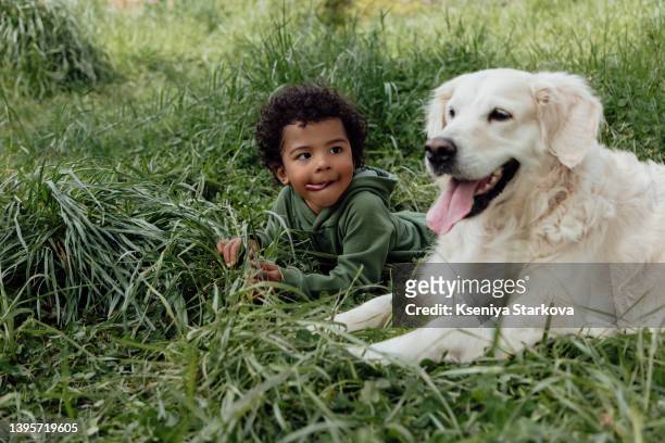 a little dark-skinned boy with an afro hairstyle in a green suit lies and shows his tongue in a green meadow with a white dog of the golden retriever breed - boy dog photos et images de collection