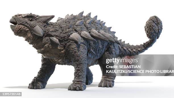 ankylosaurus, illustration - thyreophora stock-grafiken, -clipart, -cartoons und -symbole