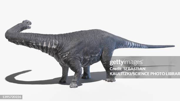 argentinosaurus, illustration - argentinosaurus stock illustrations