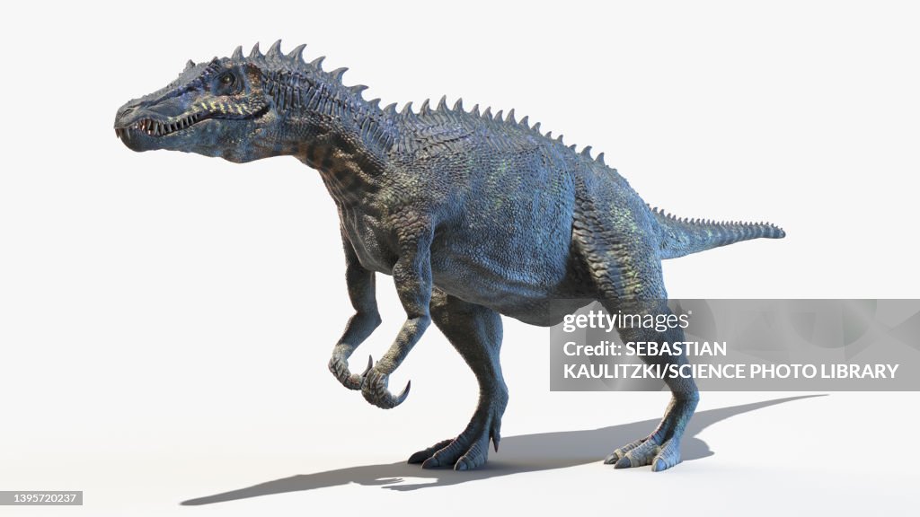 Baryonyx, illustration