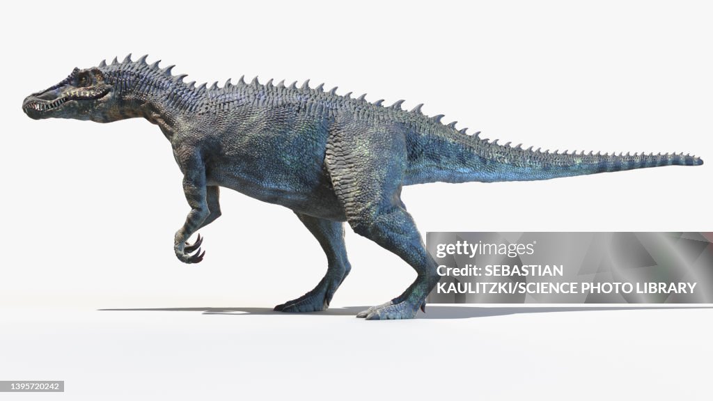 Baryonyx, illustration