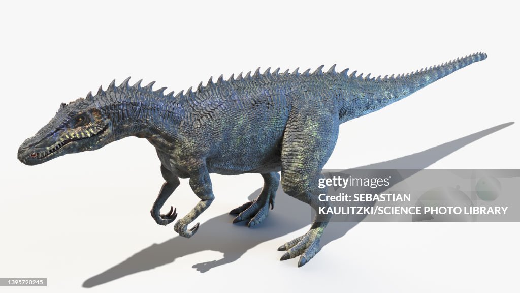 Baryonyx, illustration