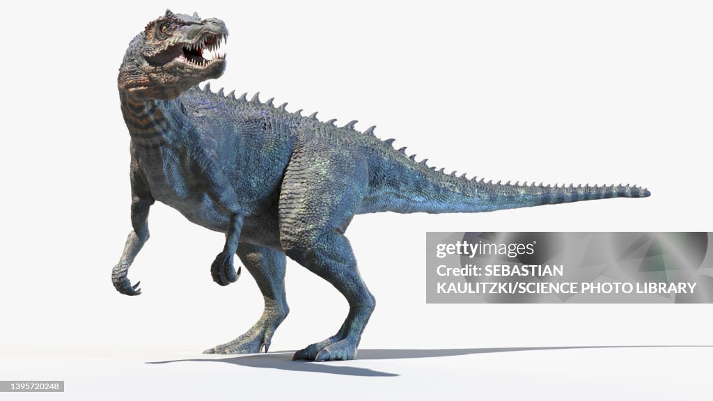 Baryonyx, illustration