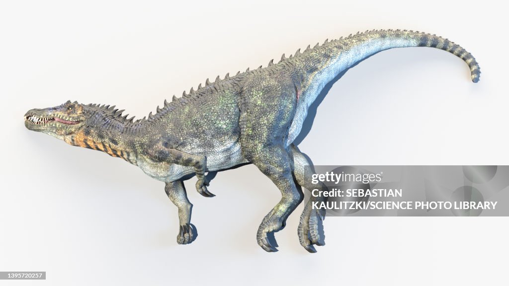 Baryonyx, illustration