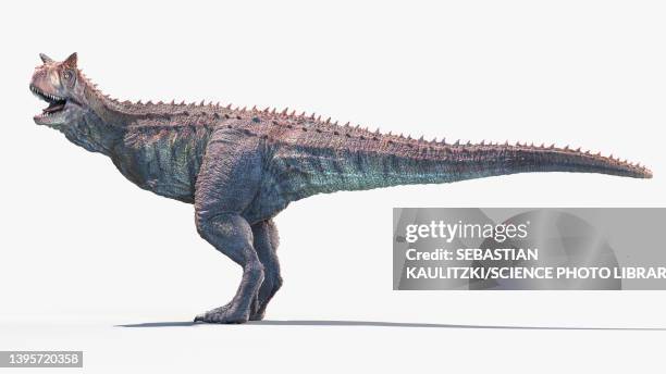 carnotaurus, illustration - carnotaurus stock illustrations