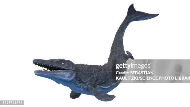 86点のモササウルスイラスト素材 Getty Images 86点のモササウルスイラスト素材 Getty Images