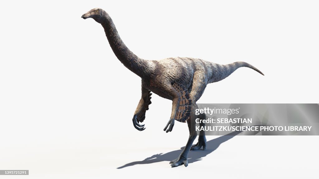 Ornithomimus, illustration