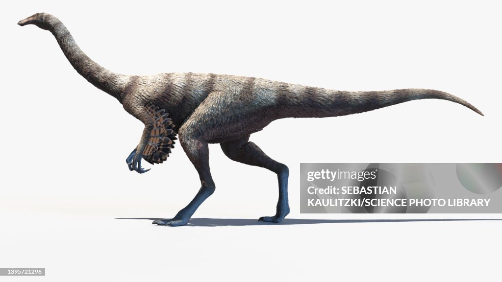 Ornithomimus, illustration