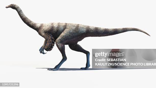 Ornithomimus Illustration High-Res Vector Graphic