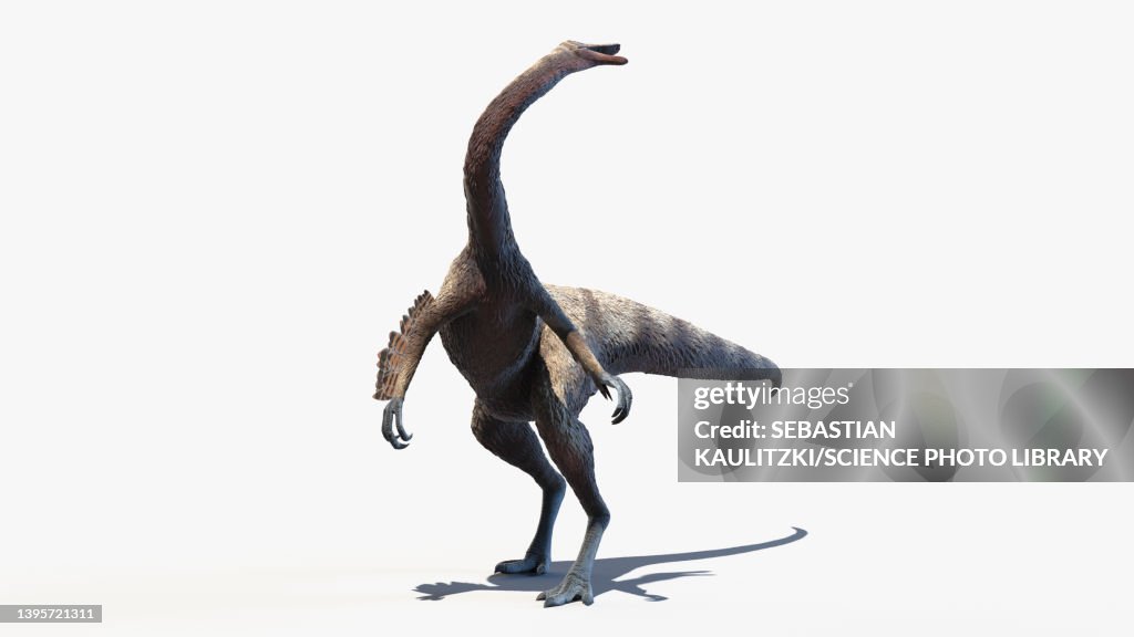 Ornithomimus, illustration