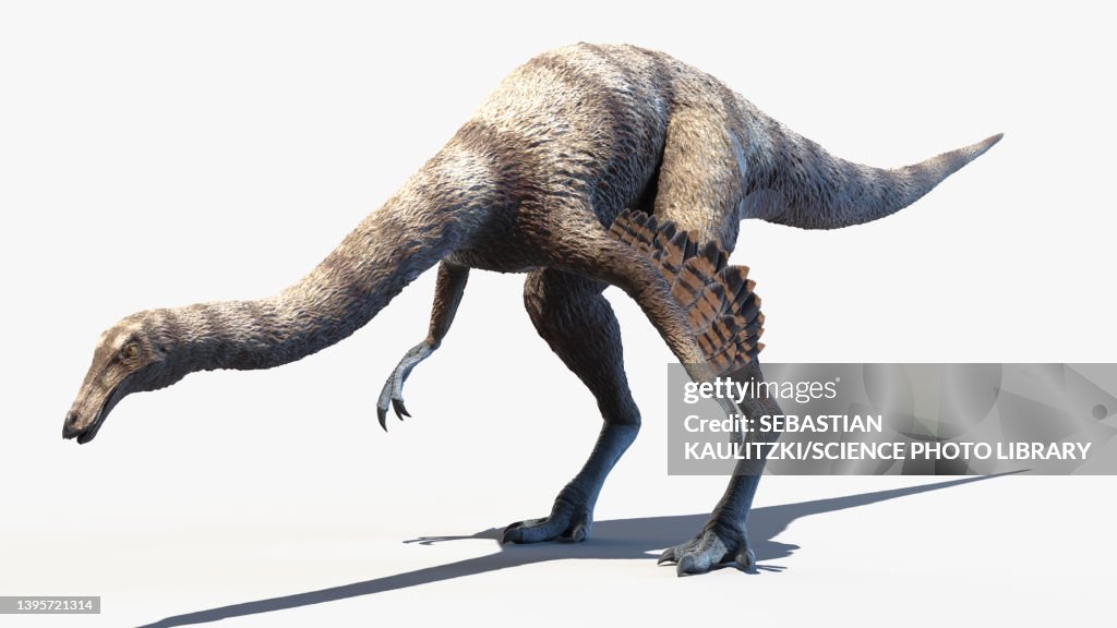 Ornithomimus, illustration