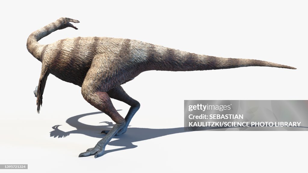 Ornithomimus, illustration