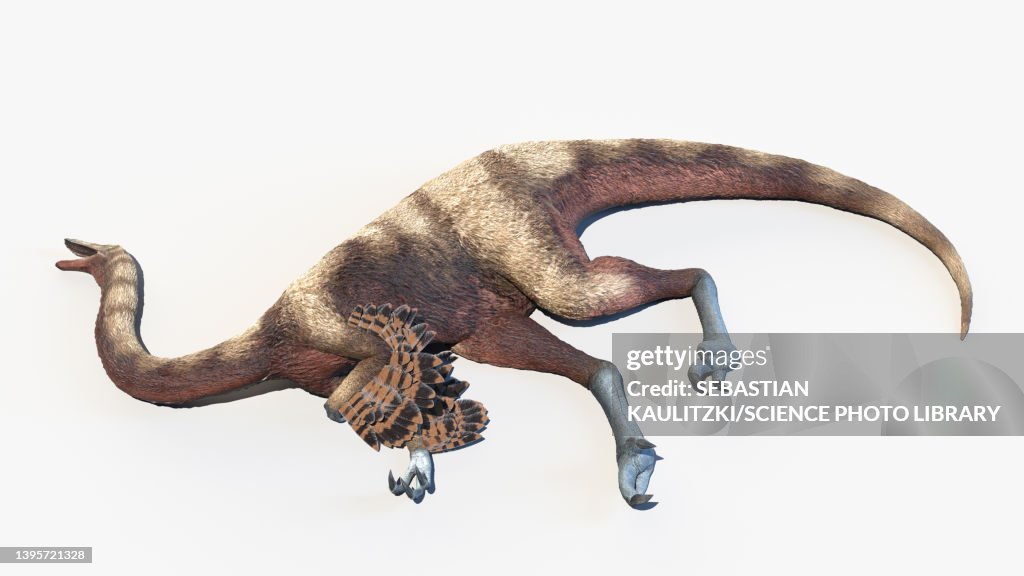 Ornithomimus, illustration