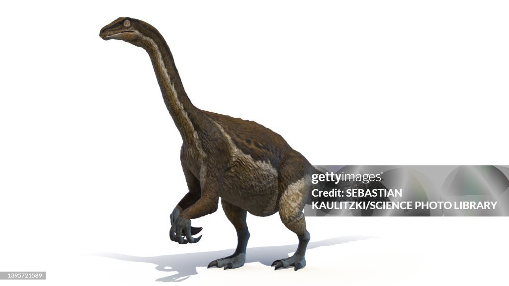 Therizinosaurus, illustration